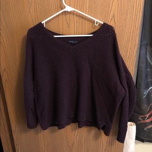 Plum American Eagle Sweater